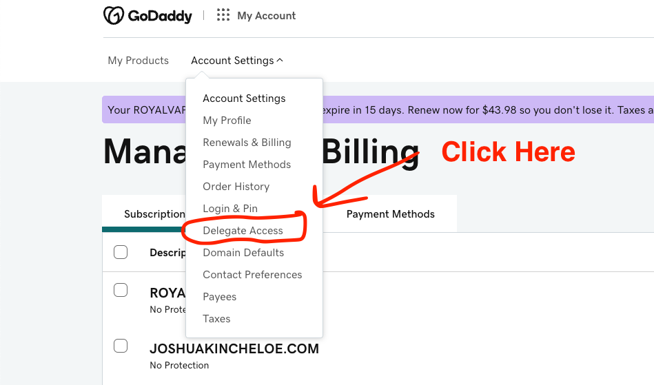 Select delegated access under Account Settings